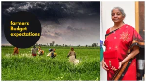 Featured image for: Union Budget 2025 Update: What do farmers want? Expectations High for Middle Class in Business category