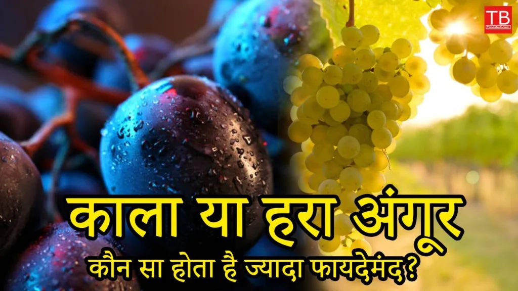Black grapes or green grapes: which one is more beneficial
