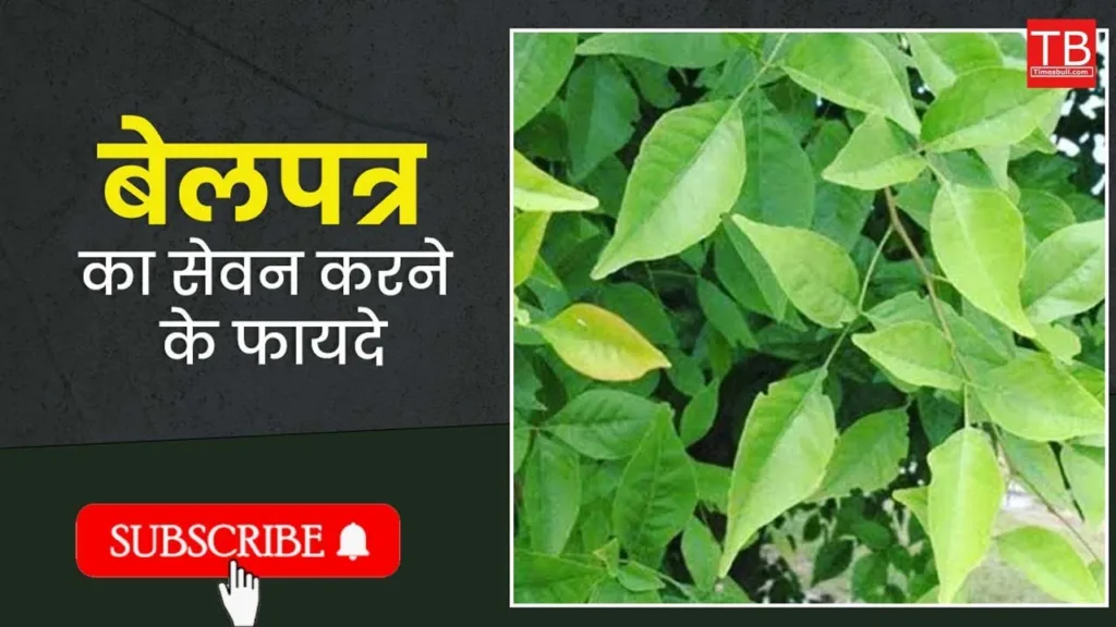Five amazing benefits of eating Belpatra on an empty stomach