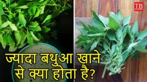 Featured image for: What effect does consuming Bathua in large quantities have on our health in Health category