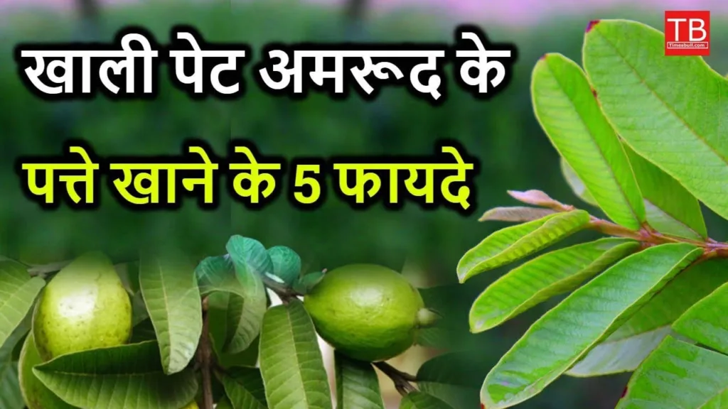 What are the benefits of drinking guava leaf water on an empty stomach? Know in one click