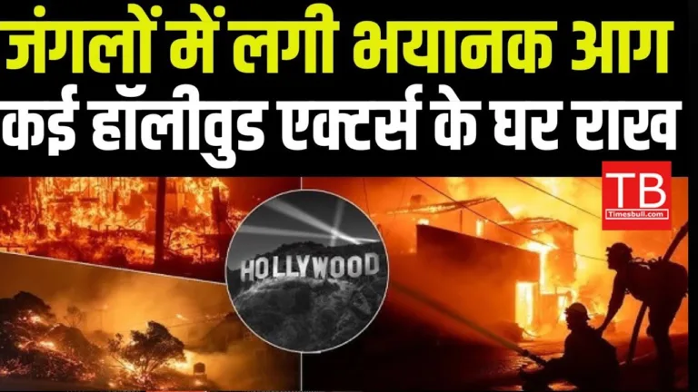 Many Hollywood celebrities’ houses burnt to ashes in the terrible fire in Los Angeles