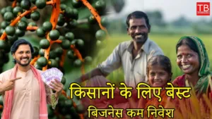 Featured image for: Become a Millionaire by Growing Bethel Nut, High Profit at Low Cost in Business category