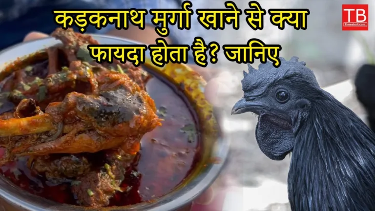 What are the benefits of eating Kadaknath chicken? Know the complete information