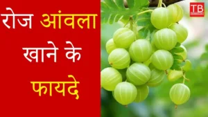 Featured image for: What are the benefits of eating Amla every day? Know the complete information in Health category