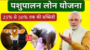 Featured image for: How to apply for animal husbandry subsidy scheme in India: Know how to apply in Business category