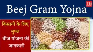 Featured image for: Information about free seed scheme for farmers: Know how to apply for this scheme in Business category