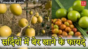 Featured image for: What are the benefits of eating plums in winter? Know it in just one click in Health category