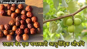 Featured image for: Do you know the miraculous benefits of eating plums? in Health category