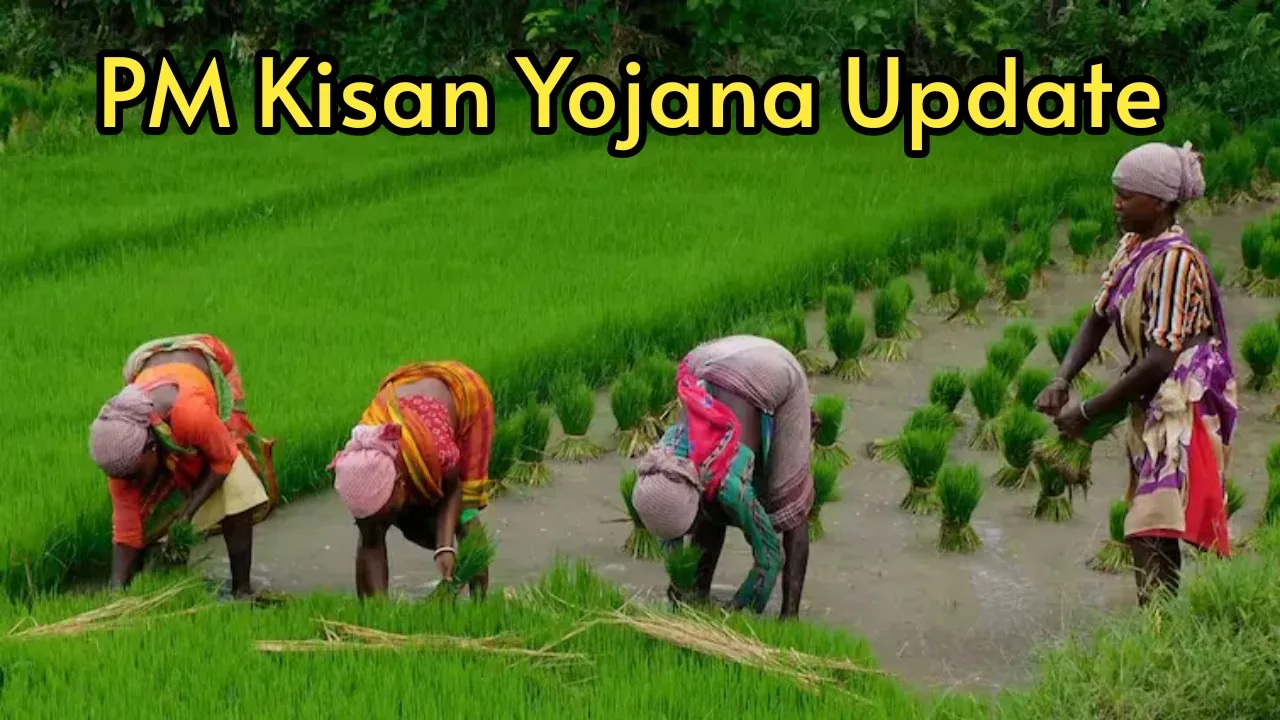 PM Kisan: Rs 2000
