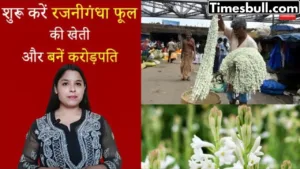 Featured image for: Start cultivating tuberose flowers in the new year and become a millionaire in Business category