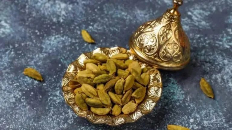 If you want to strengthen your financial condition then these remedies related to green cardamom are very useful!