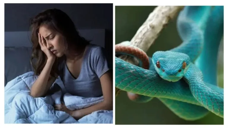 Vastu Tips: If you see such strange things in your dreams then these are the main symptoms of Kaal Sharp Dosha