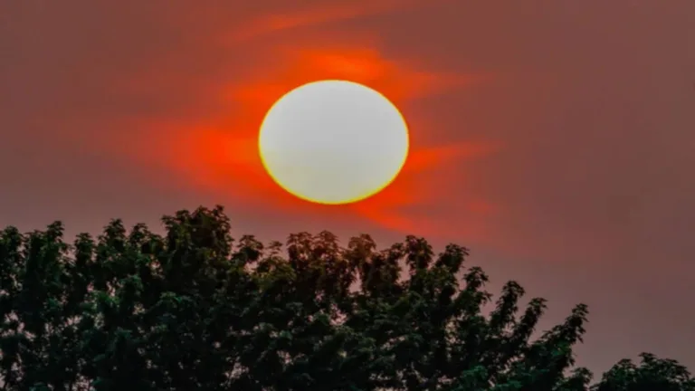 Vastu Tips: Do not do these things on the doorstep of the house in the evening, you will become poor