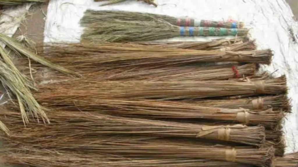 Vastu Tips: If you want to save your wasting luck, then these Vastu remedies will be very useful!