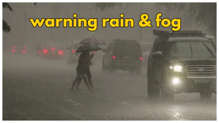 Monsoon Forecast – Meteorological Department Warning Rain & Dense Fog in These States next 3 Days