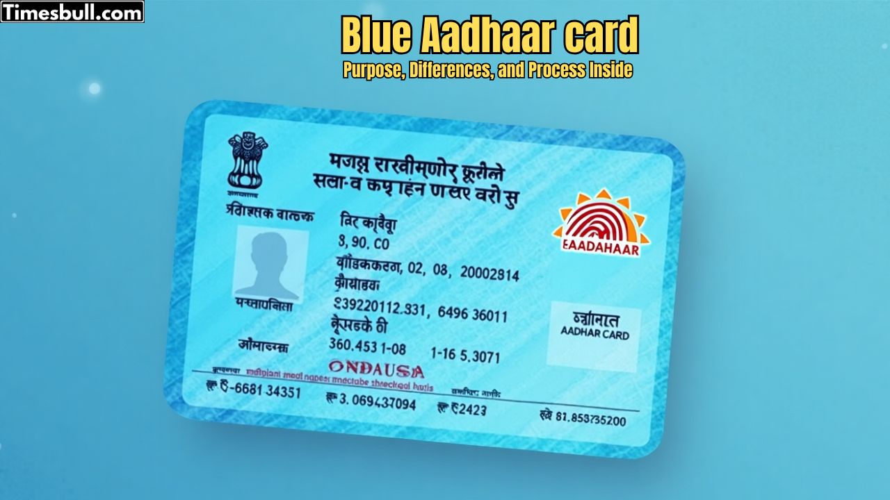 Blue Aadhaar Card: Everything