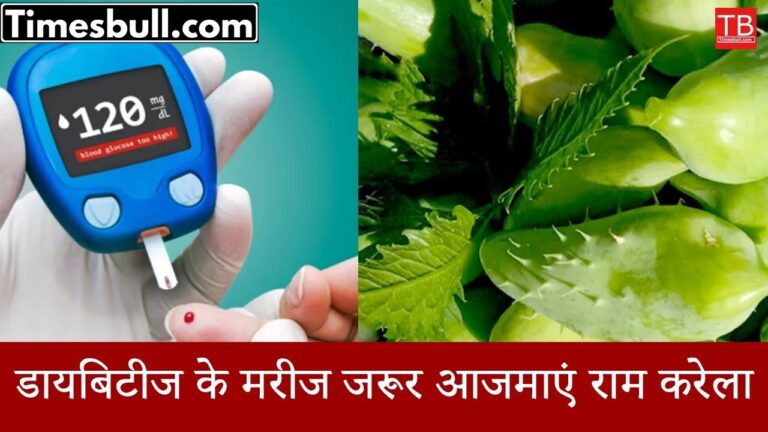 Ram Karela Do you know this natural remedy to keep blood sugar under control