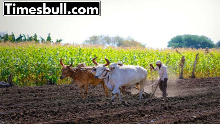 This Govt scheme is a boon for farmers! Everyone can get benefits worth thousands by spending just Rs 1