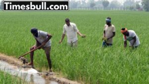 Featured image for: Indian Farmers can become rich by cultivating this fruit, government is giving subsidy, know how to apply  in Business category