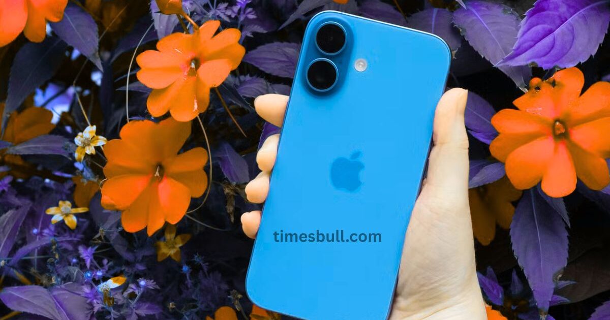 testttt - Times Bull